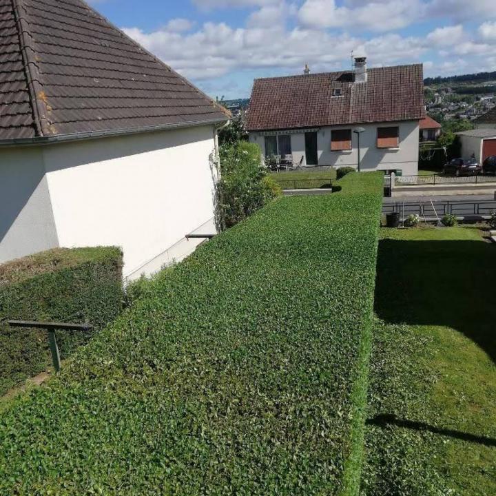 Entretien régulier de jardin Flers