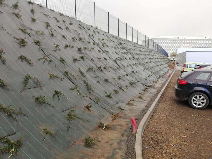 Aménagement de jardin Flers