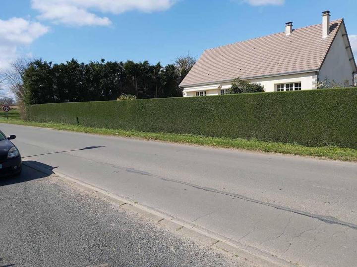 Entretien de jardin Flers