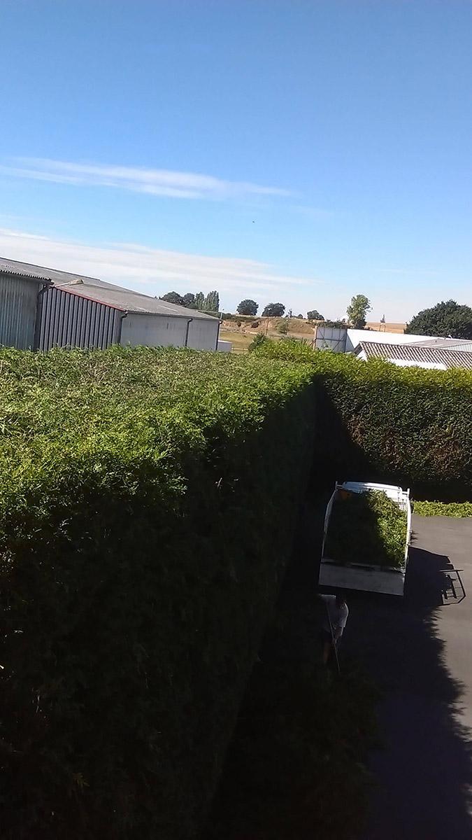 Entretien de jardin Flers