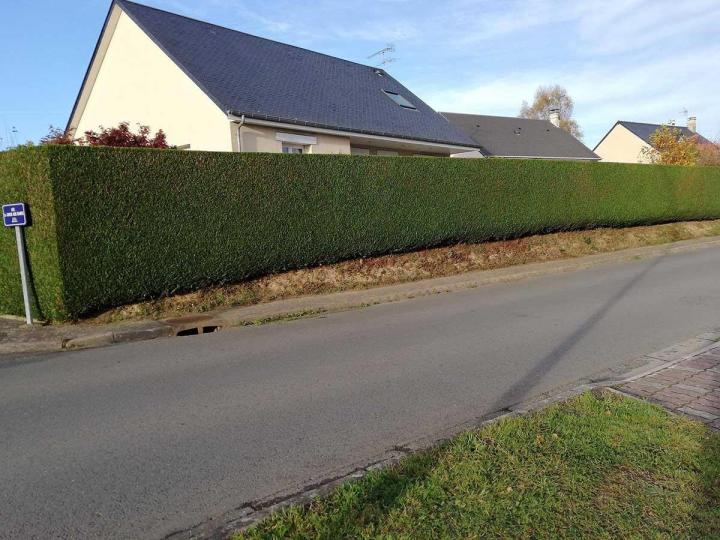 Entretien de jardin Flers