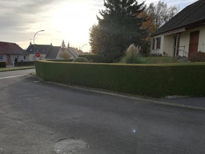 Entretien régulier de jardin Flers