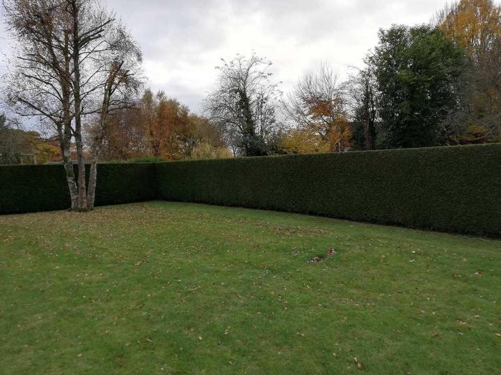 Entretien de jardin Flers