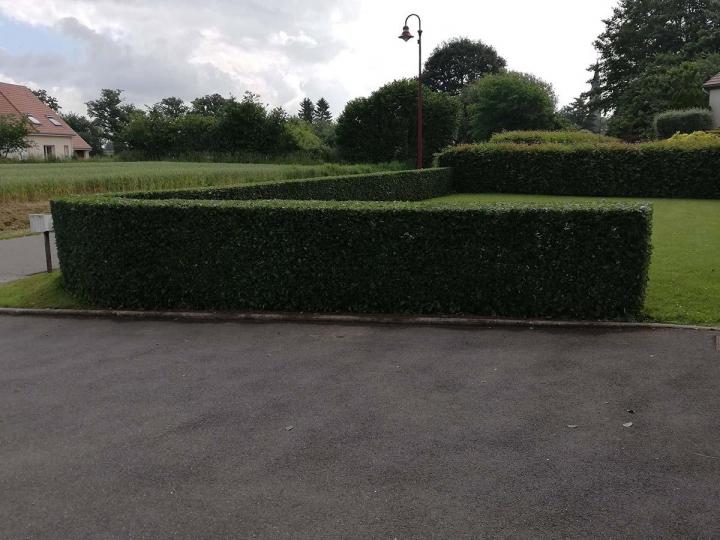 Entretien régulier de jardin Flers