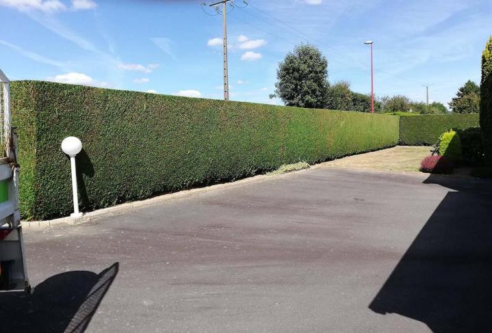 Entretien régulier de jardin Flers