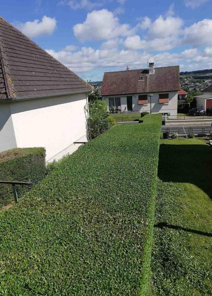 Entretien de jardin Flers